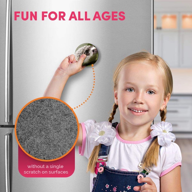 1 x Round MDF Magnet - Hedgehog Garden Wildlife British