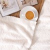 Panku Ultra Soft Cozy Knit Throw Blanket for Couch and