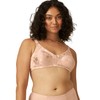 Naturana Women's Minimiser Bra 5363 Light Beige B 38