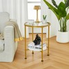 ZEXVIDA Tempered Glass End Table with Storage Shelf for Small