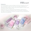 WELLMAXX Concentrates Anti Wrinkle Boost Concentrate Ampoules, Anti Ageing Serum