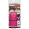 Salon de Pro (サロンドプロ) Gray Hair Concealer Touch-Up Wide Marker