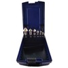 WRS Quality Countersink Set, Industrial Quality, in Rose Plastic Cassette,