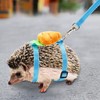 Adjustable Hedgehog Training Harness with Leash, Nylon Rope with Cute
