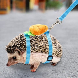 Adjustable Hedgehog Training Harness with Leash, Nylon Rope with Cute Radish, Outdoor Play Toy