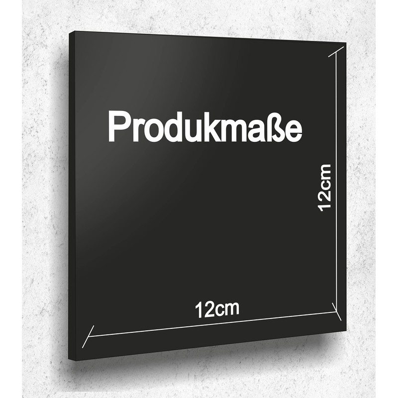 Door Sign Toilet Sign Black Matt UV Print 12 x