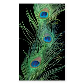 CafePress 3X5 Rug Black and Green Peacoc Rectangle Bumper Sticker Car Decal