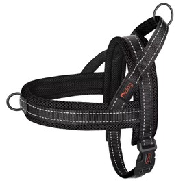 Didog No Pull Dog Harness with Soft Mesh Padded,Reflective & Quick Fit Light Weight Dog Strap Vest Harness,Easy for Walking Training (L:Chest 26-32", Mesh-Black)