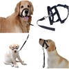 AIMALL Adjustable Dog Head Halter - Effective Anti-Pulling Training Collar