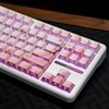 ZMX Cherry Blossom Pink Keycaps,Side Printed Shine Through Keycap PBT