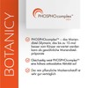 Leber Fit Complex, High-dose Complex from the Brand Raw Material