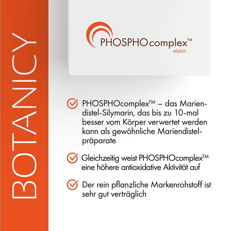 Leber Fit Complex, High-dose Complex from the Brand Raw Material