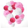 Vaguelly Cute Room Decor Pink Honeycomb Paper Flower Ball Set