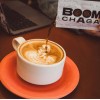 BOOM CHAGA Mushroom Superdrink, Chaga Mushroom Extract Liquid Concentrate 31