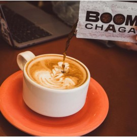 BOOM CHAGA Mushroom Superdrink, Chaga Mushroom Extract Liquid Concentrate 31 single serving