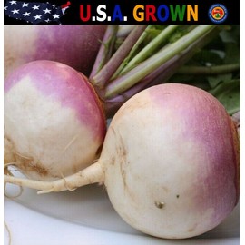 The Gardening World 500 Turnip Seeds Purple Top White Globe Heirloom