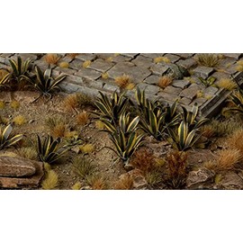 Gamers Grass Laser Plants - Agave