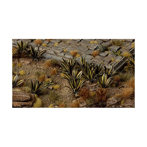 Gamers Grass Laser Plants - Agave