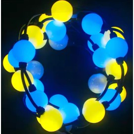 Factory Wholesale WS2811 Pixel Lights LED String Light Bulbs with Remote Control Switch for Outdoor Garden DecorationEmitting Color: White, Lamp Power(W): 10