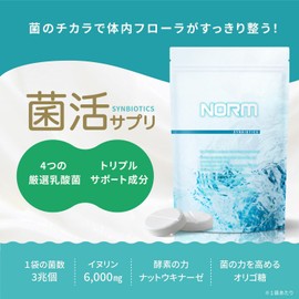 NORM ノーム 乳酸菌 ビフィズス菌 酪酸菌 サプリ シンバイオティクス 1袋に3兆個の乳酸菌 食物繊維 イヌリン オリゴ糖 ナットウキナーゼ 国内製造 30日分