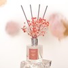 Airkeep Reed Diffuser Set,3.38 fl oz (100 ml) - English