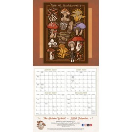 The Natural World 2026 Wall Calendar, 16-Month Nature Art Calendar by Stephanie Kate Baxter, 12" x 12"