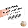 NIIMBOT Label Tape for B1/B21/B3S, 1.2" X 1.2" (31x31mm), 210