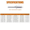 ISPINNER 100 remaches de acero inoxidable de 1/8 x 1/4