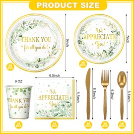 Yungyan 252 Pcs Sage Green Thank You Party Tableware Set Thank You for All You Do We Appreciate You Plates Napkins Cups Cutlery for Employee Teacher Graduation Appreciation Party 36 Guests
