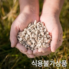 한가람건강원 국산 건 향부자 사초뿌리 100% 효능 약재 약초 200g Hangaram Health Center Domestic Dandelion Root 100% Efficacy Medicinal Herb 200g