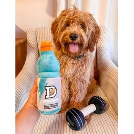 Nestpark Fitness Funny Dog Toys - Doggyade and Doggy Dumbbell Workout Parody Cute Dog Toys - 2 Pack (Workout Pack)