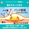 Ikeda Mohando Muhi Wound Pads 10 Sheets