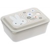 Skater PAS6AG-A Silver Ion Storage Container, Ag+ Antibacterial, Fluffy, Gasket,