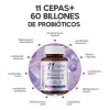 Probioticos 11 Cepas De 60 Billones Megabiotic 60 Capsulas