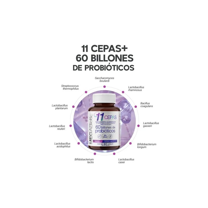 Probioticos 11 Cepas De 60 Billones Megabiotic 60 Capsulas
