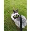 Vehomy Rabbit Harness with Leash for Bunny Rabbits Cats Small