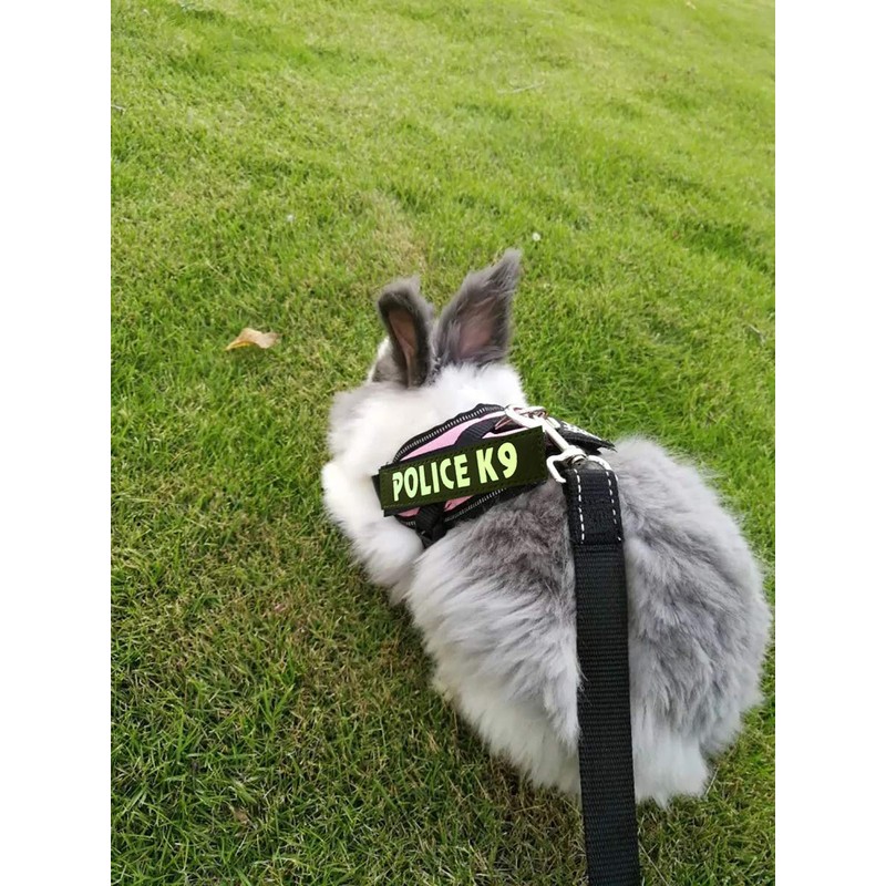 Vehomy Rabbit Harness with Leash for Bunny Rabbits Cats Small