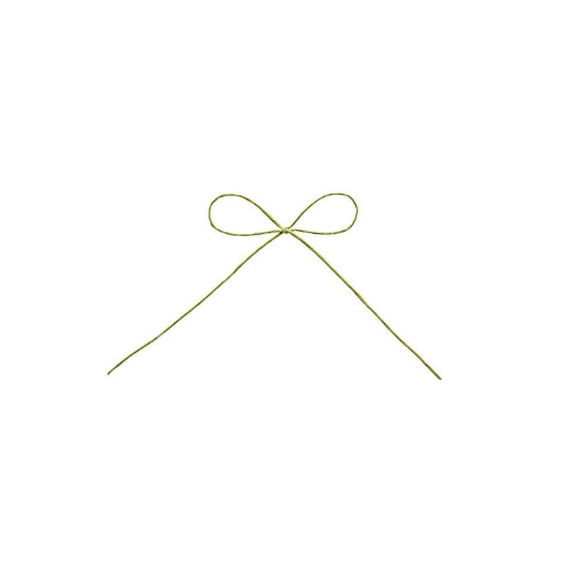 Tokyo ribbon papie-ru 29 Pistachio Grn Approx 1 mm X 130 m