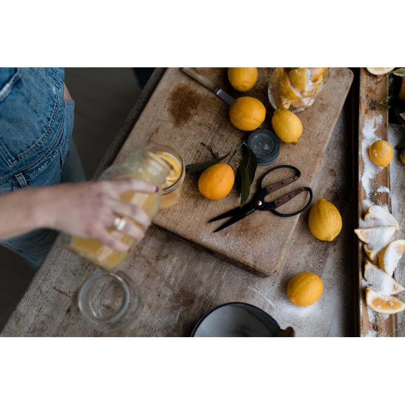 Barebones Garden Scissors - Walnut Scissors - Garden Supplies and