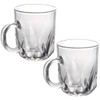 Sizikato 2pcs Clear Glass Drinking Cup with Handle, 8 Oz