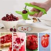 Aebor 2pcs Cherry Pitter Tool, Cherry Pit Remover Tool, Multi-Function