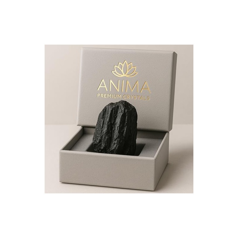 Anima Black Tourmaline Crystal – Raw Grounding Stone for Protection,