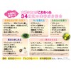 TAKAKO OHASHI Bright-Up CC Controller, Cream UV 1.1 oz (30