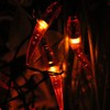 Dreamworth Solar Red Chili String Lights, 50 LED Chili Shape