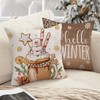 Hello Winter Brown Decorative Throw Pillow Covers 18 x 18