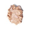 Napoleon Perdis Highlight Patrol 8g