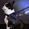 Petio EthicalDoor Dog Leasywear Harness Small Black