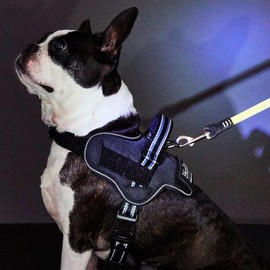 Petio EthicalDoor Dog Leasywear Harness Small Black