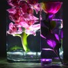 KITOSUN Exclusive Remote Controllers for Kitosun Submersible Floralyte V LED