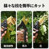 剪定ばさみ 園芸用はさみ 剪定はさみ 2段階調節可能